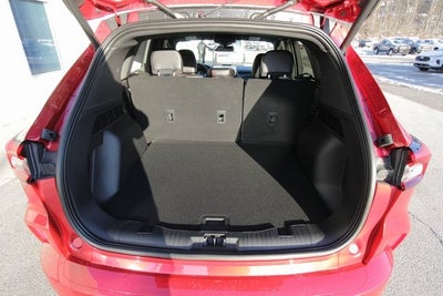 2026 Ford Escape ST-Line Elite